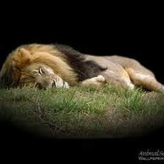 September Inap Origin by wikiwalet