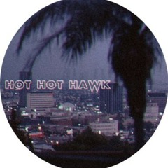 Hot Hot Hawk feat. Pasha - Space Traveller (DigitalNativeDance Remix)