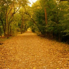 Unfair with freddiehangoler