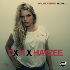 Hayzee x Dailymovement Vol. 2