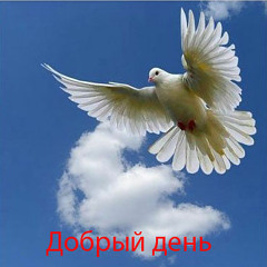 Александр-Звинцов-Стая-голубей-песня-про-меня(muzofon.com)
