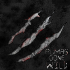 Yeah Yeah Yeah - Heads Will Roll (Pumas Gone Wild "Tik Tok" Remix Edit)
