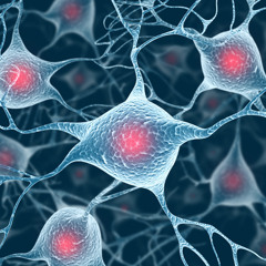 Brain Funk