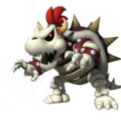 Winterheart Bowser