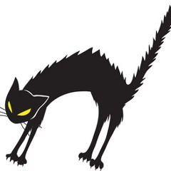 Dat Funkers - Funky Wild  Original Mix