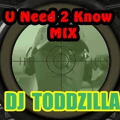 DJ Toddzilla - U need 2 knw
