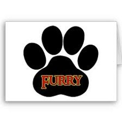 Deejay Fox - Furry Paws Up!