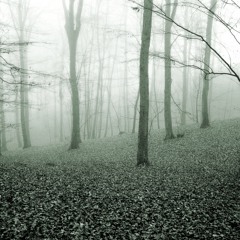 The Beauty of Nature