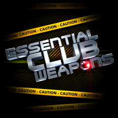 Wess & Rauda - Reasons (Original Mix)