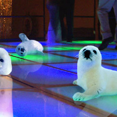 Stop Clubbing, Baby Seals