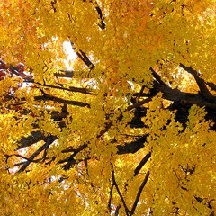 Well, that's all i have to say