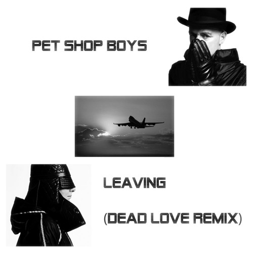 ペット・ショップ・ボーイズ Leaving Remixed 貴重 リミックスCD CD