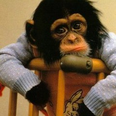 MR CHANGO - UN DIA COMO HOY