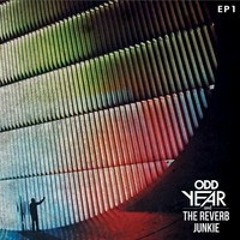 Odd Year & The Reverb Junkie - Don't Say It Didn't Hurt