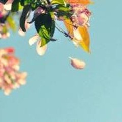 Belle Epoque - 나와 같은 너