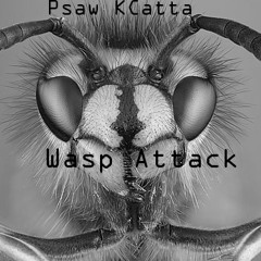 Wasp Attack (Original Mix)