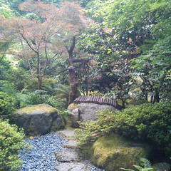 Back To Original Shape (FREE DOWNLOAD!!!)