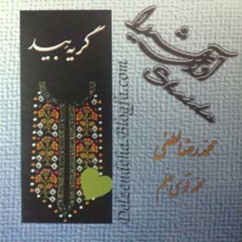 گریه بید بداهه نوازی