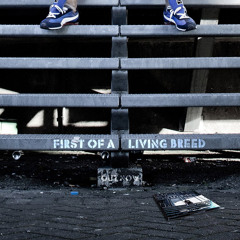 Homeboy Sandman - First of a Living Breed OUT NOW