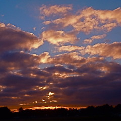 Dear Prudence (instrumental Beatles Cover) by Mark Skey