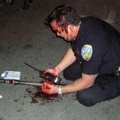 Kerm feat Hoznary - 4 dead cops and one pizzlepop  (2)