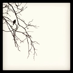 i will wait no more (2)