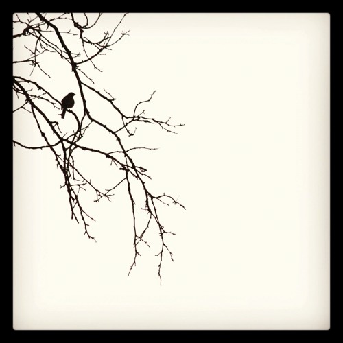 i will wait no more (2)