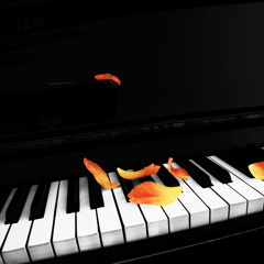 Niem Khuc Cuoi - Piano cover (Ngo Thuy Mien)