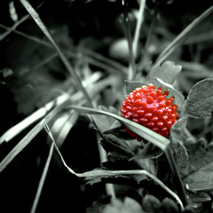 Déjà - Memory (2012)