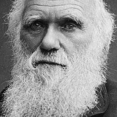 Charles Darwin (Dirty mix)