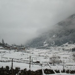 02 nge phayual gare karpo