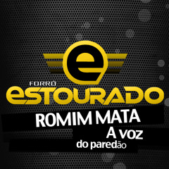 Despedida de Solteiro | Romim Mata & Estourado Eletronico