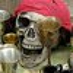 Too Much Rum : Robin D. Rich