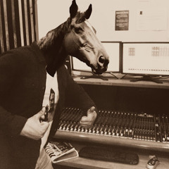 "Nørgaard" by The Vaccines covered by Bird Seed Revival