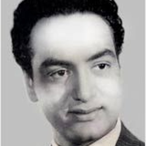 محمد فوزى