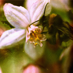 Aí:MâN 7.57 "In Bli$$ â G.spot REturns" (feat. AB3)