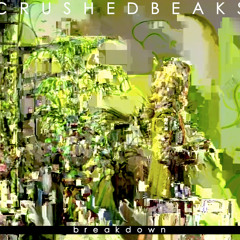 Crushed Beaks - Breakdown