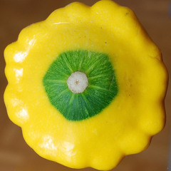 Hanz - Rod patison dan reyon ziromon