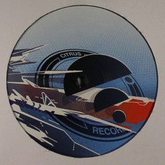 Place2b,Paimon,Malk - Pulsar (NickBee remix)(Citrus 12")