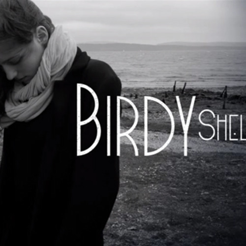 birdy shelter