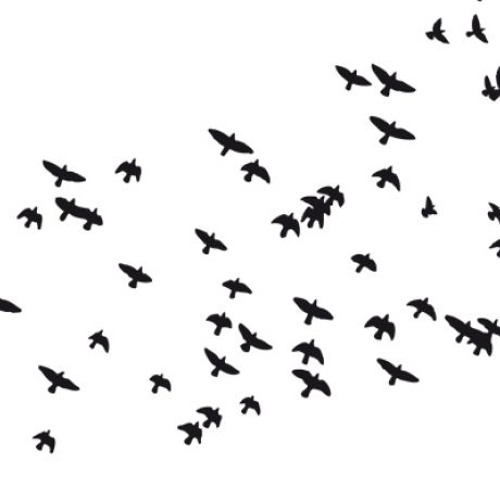 150912mbaskind_turmzimmer_likebirdz_record_release_party/