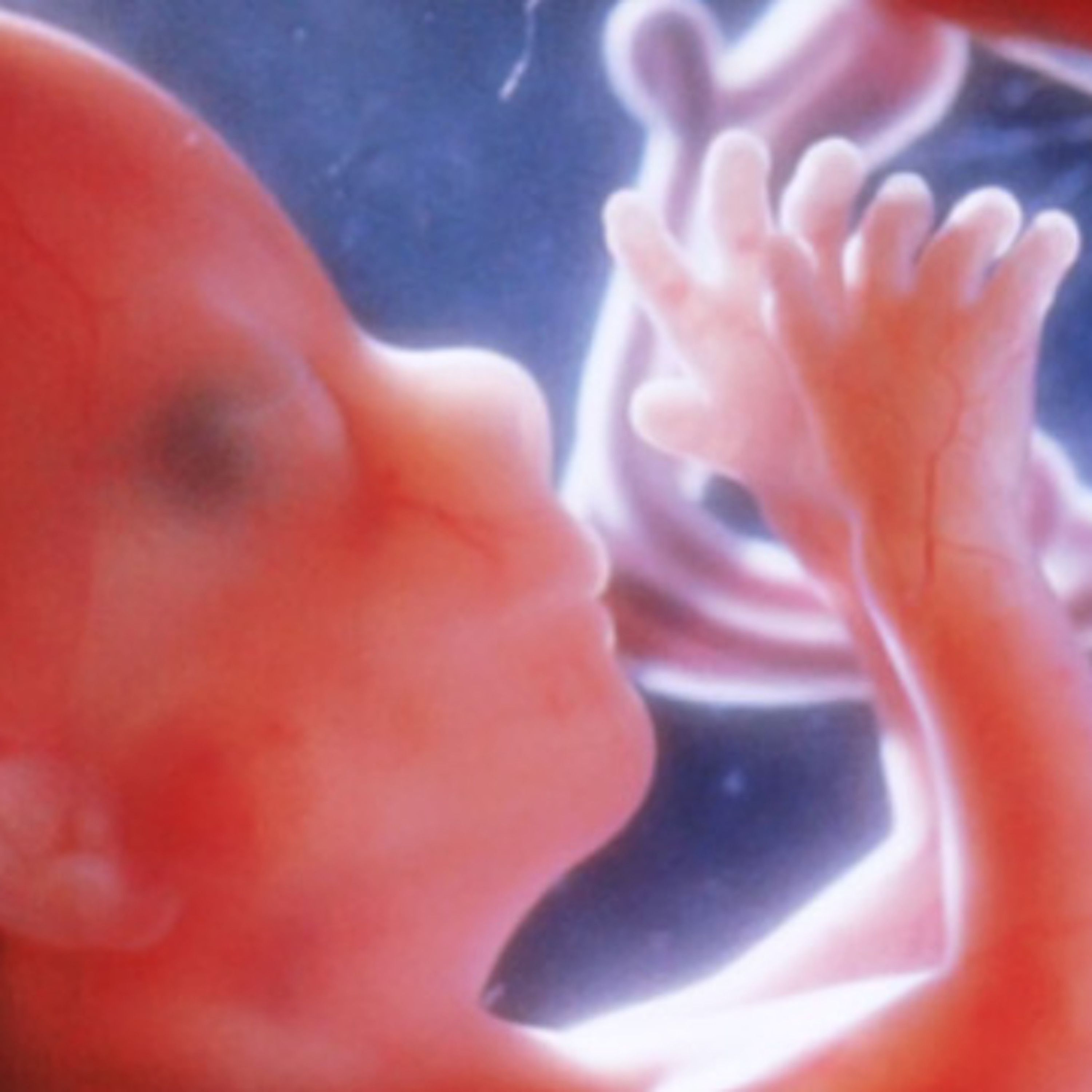 AV.27: Nova Estratégia Mundial do Aborto - Quarta Aula episode artwork
