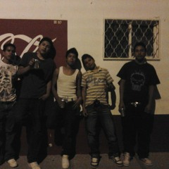 Pcg 13 (tAcKo) 2012