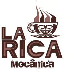 Larica mecanica set 2012