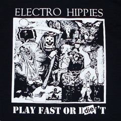 Electro Hippies - Am I Punk Yet