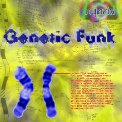 Hybrid^bmp - Genetic Funk - 5. Found the Funk Gene (1996)