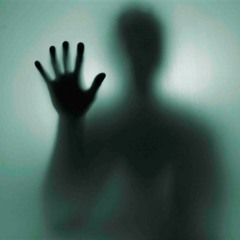 RandoRando_LifeLoss (Wip)