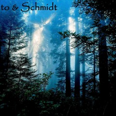 Wieto & Schmidt - Vinyl Mix September2012
