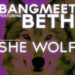 BangMEET ft. Beth - She Wolf (BangMEET's Super-Commercial Bootleg!) *OLD - NEW VERSION UPLOADED*