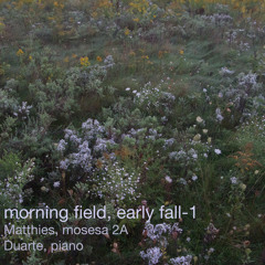 morning field, early fall-1